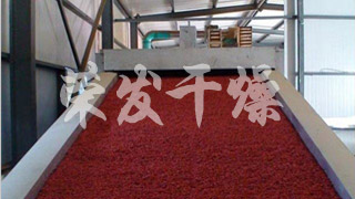 杏子果脯專用帶式干燥機生產(chǎn)線