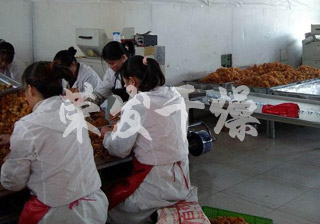 杏子果脯專用帶式干燥機生產(chǎn)線