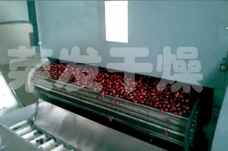 紅棗專用帶式烘干機(jī)生產(chǎn)線